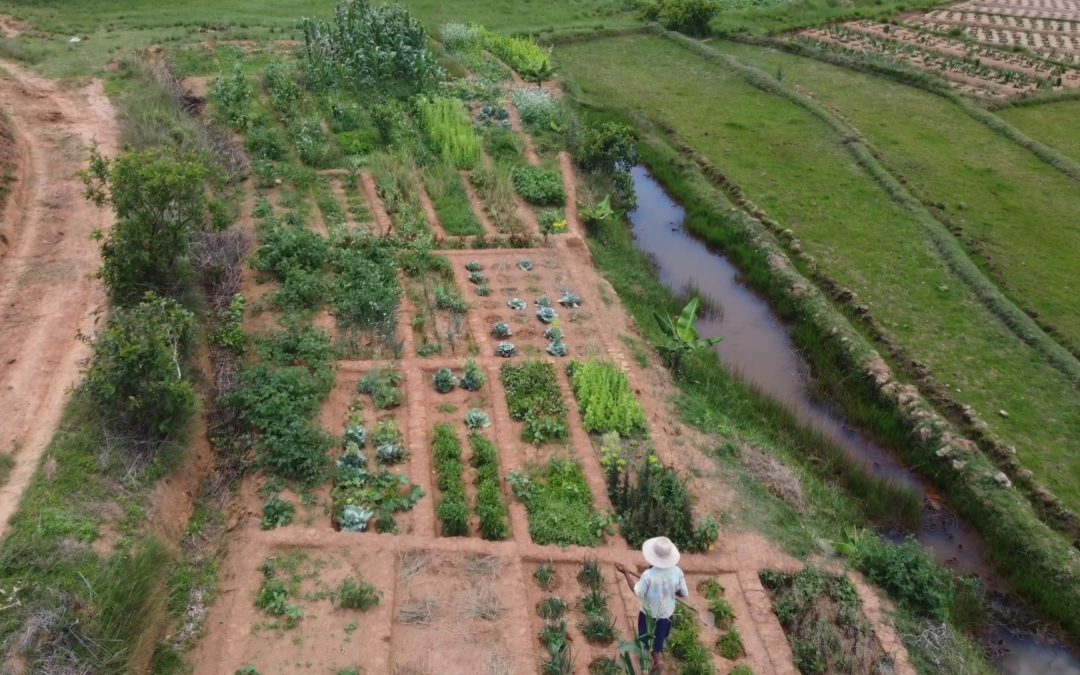 Les jardins d’AMADEA