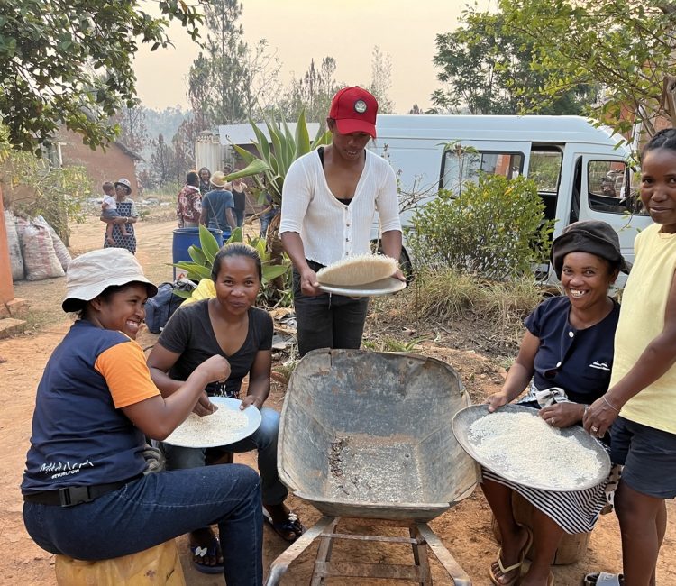 Tamisage et triage du riz